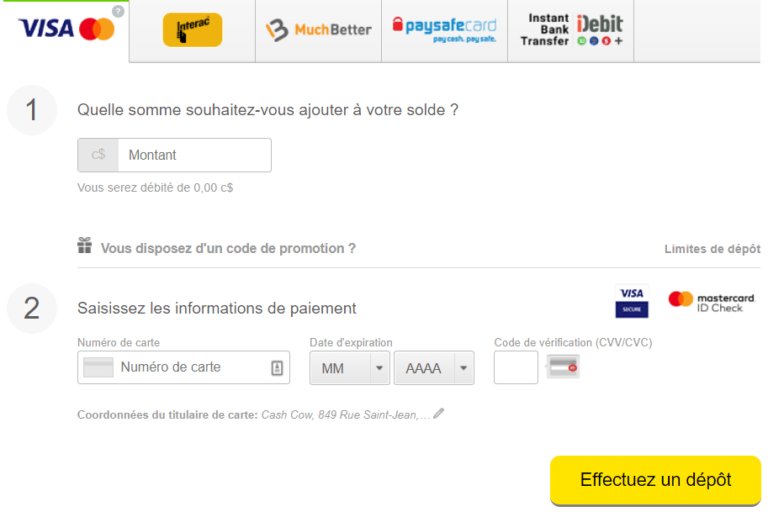 Les meilleurs casinos en ligne qui acceptent Interac - aperçu